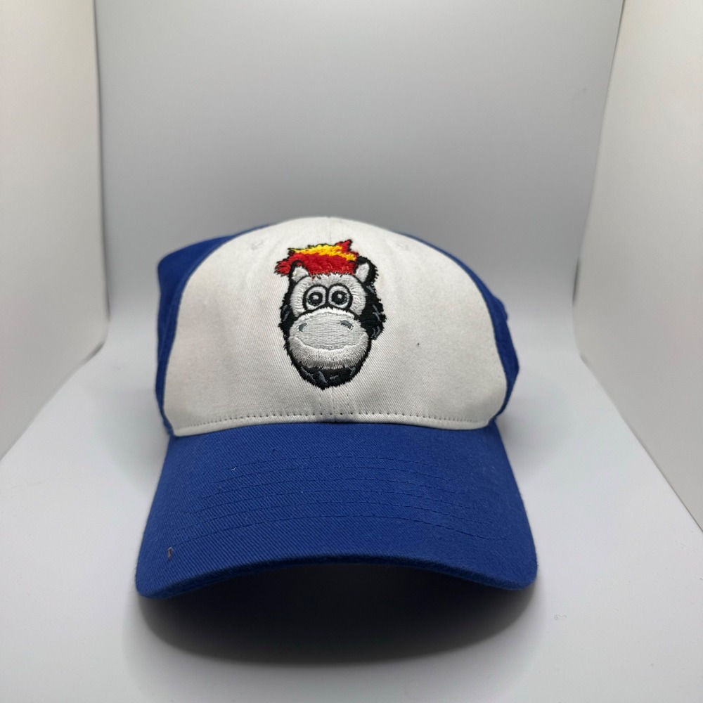 Adidas Detroit Pistons Youth Hat Blue White Hooper Mascot NBA Basketball Cap